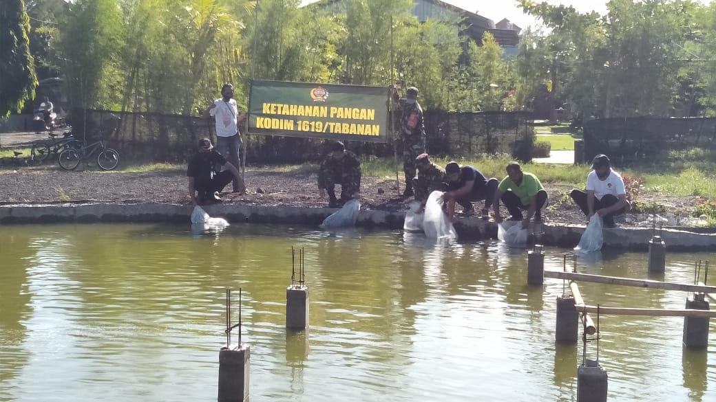 Wujudkan Ketahanan Pangan Dandim Tabanan Tebar Benih Ikan Kilas Bali