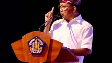 Gubernur Bali, Wayan Koster